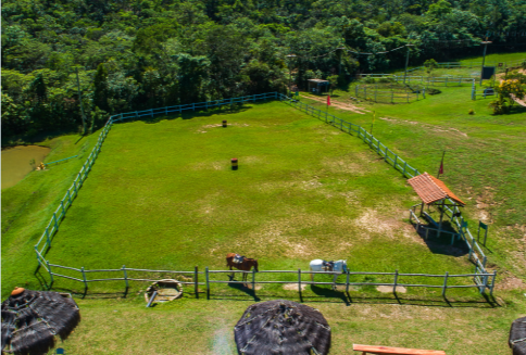 Pacote Melhor Idade - Outubro de 2026 - Image 8